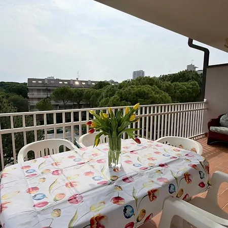 Apartment Skyline Park Residense